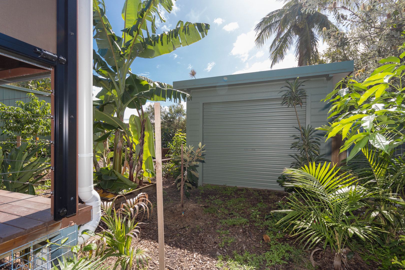 16 Shell Street, Urangan QLD 4655 House For Rent Domain