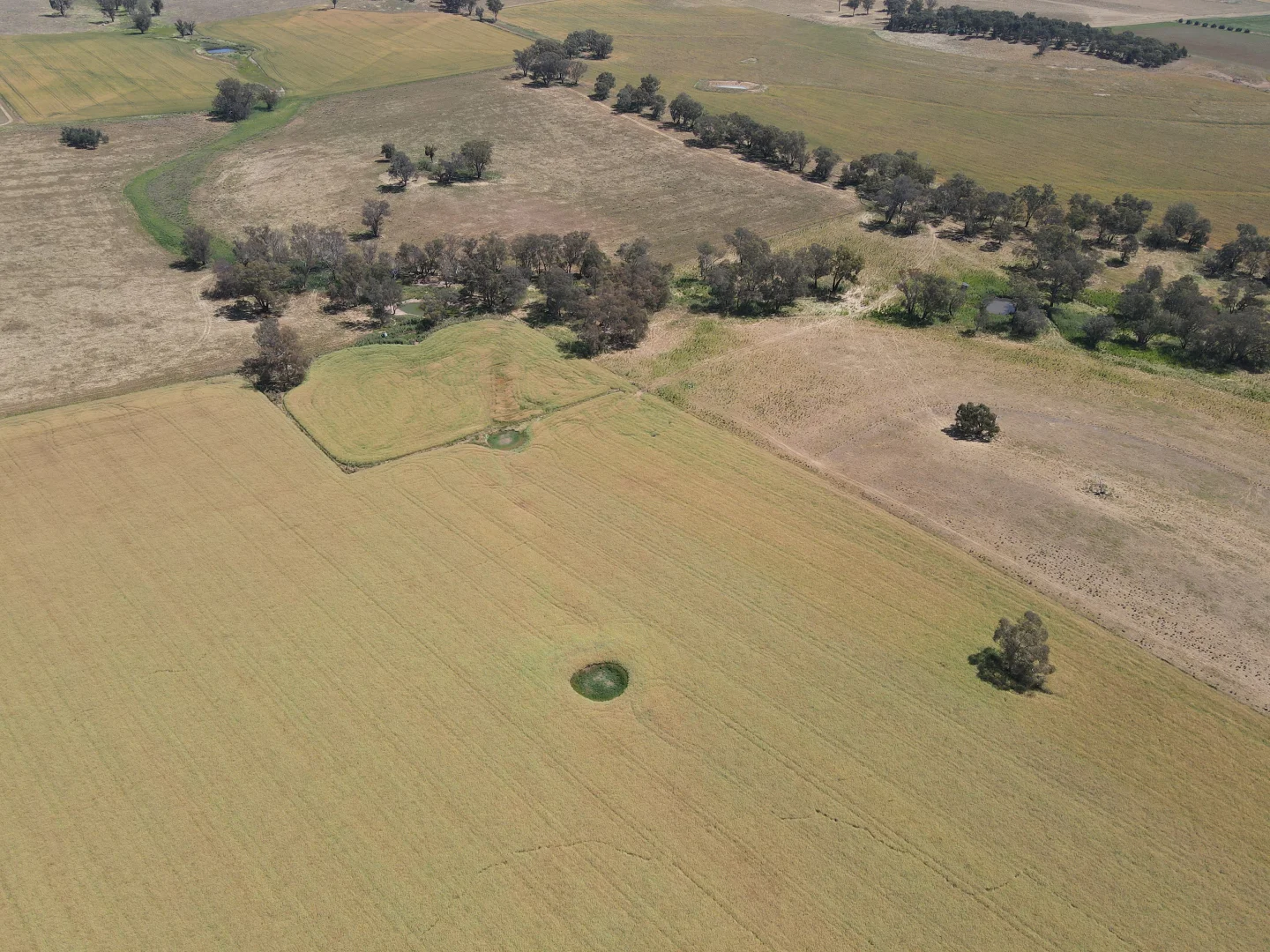 Image 12