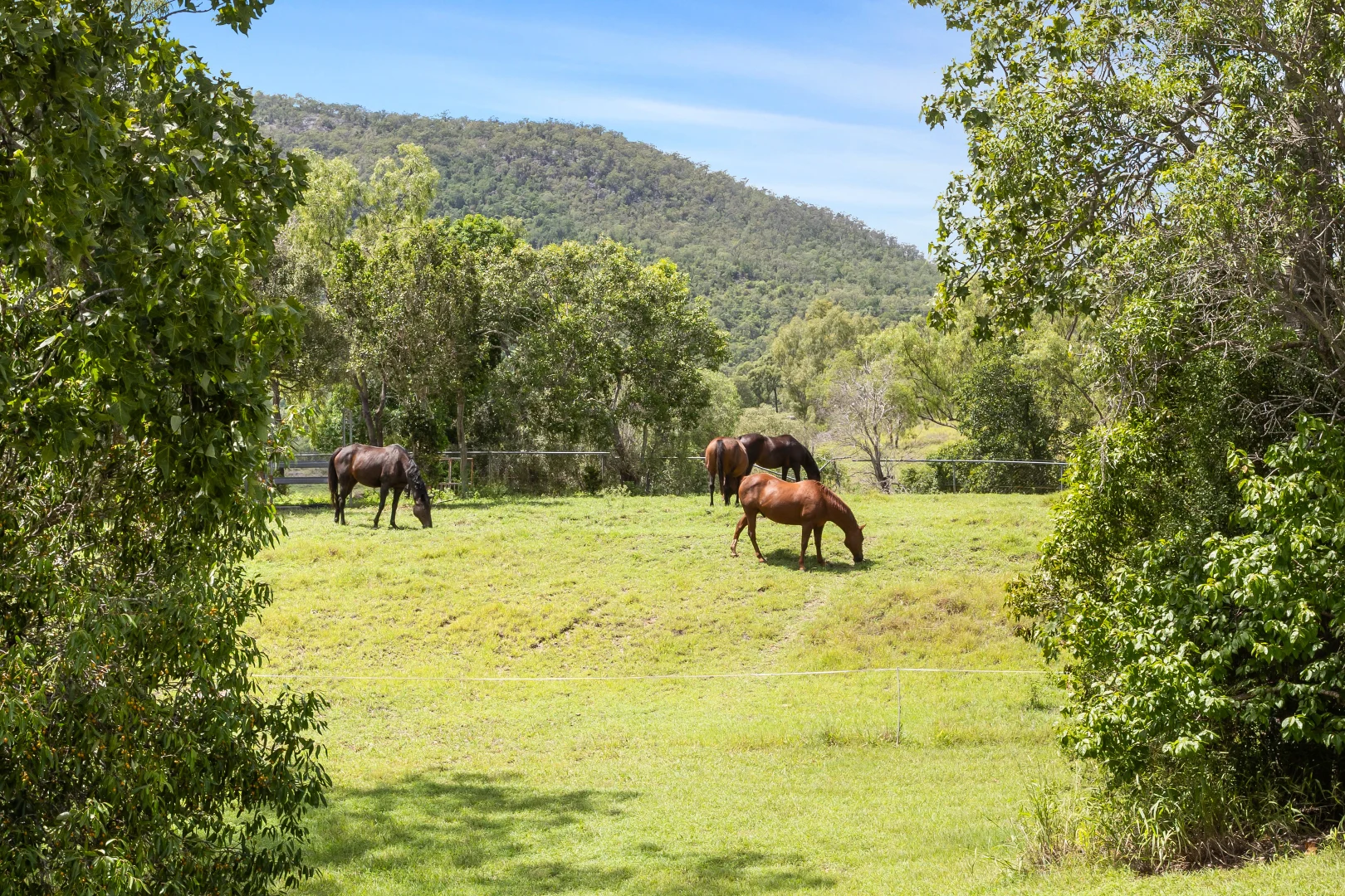 Additional image 36 of "The Ironfarm" 3835 Capricorn Highway, Westwood QLD 4702