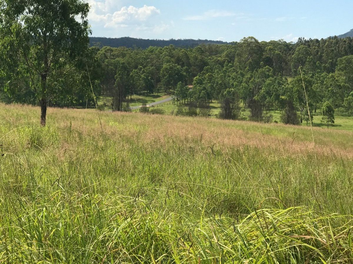 Lot 532 Kimbin Pikapene Road, Pikapene NSW 2469, Image 1