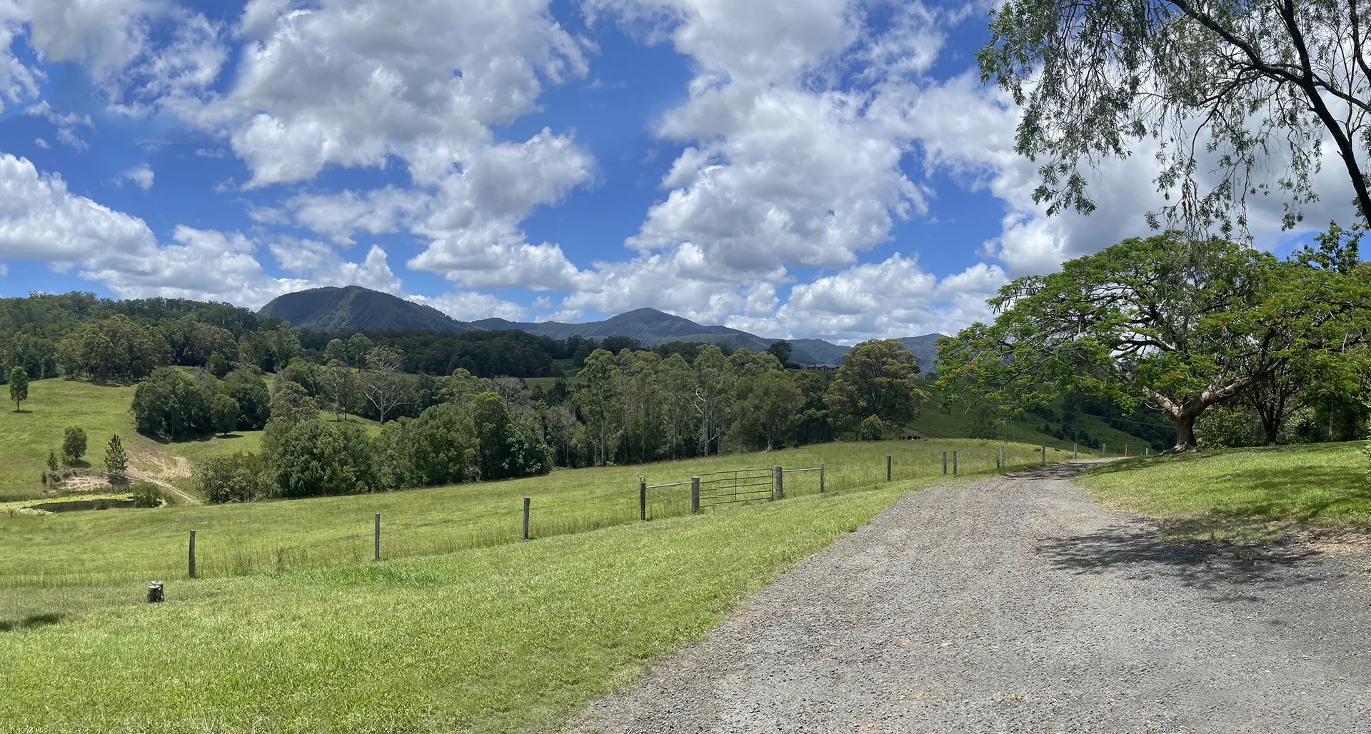 Image 25