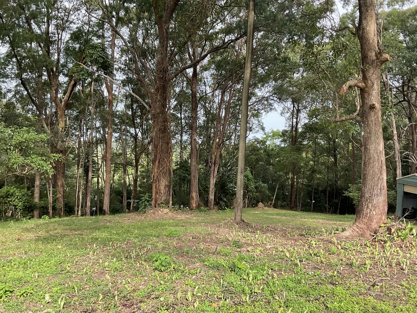 Image 12