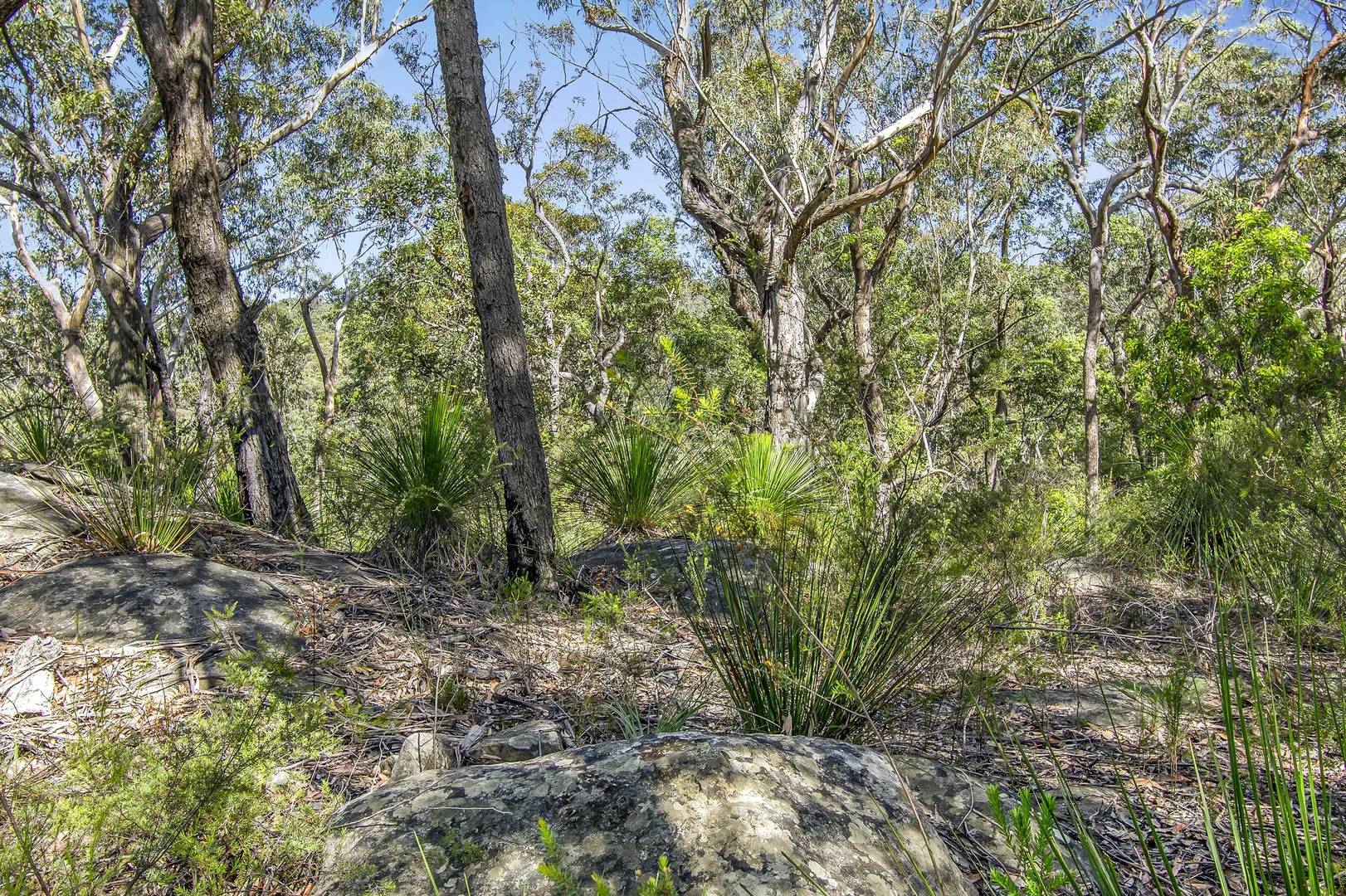 Image 8