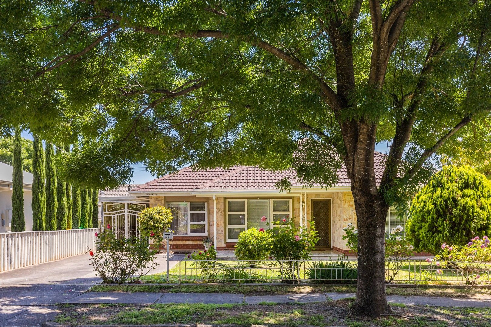 47 Jervois Avenue, Magill SA 5072, Image 0