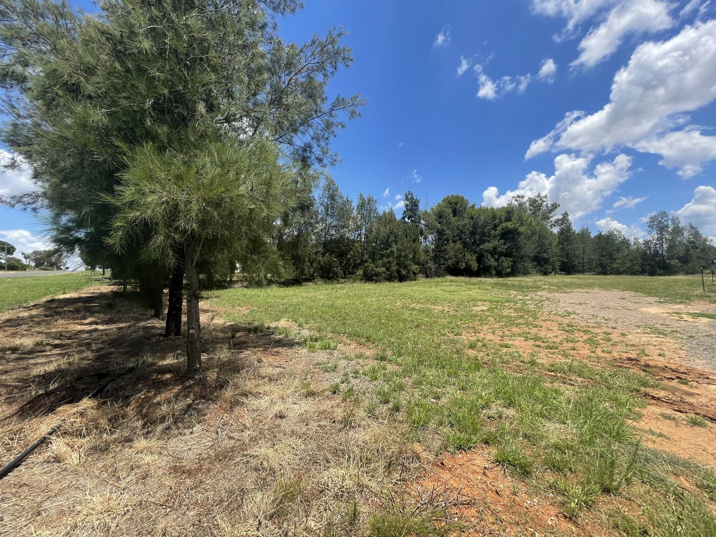 Lot 120 17 Brahman Street, Forbes NSW 2871, Image 2