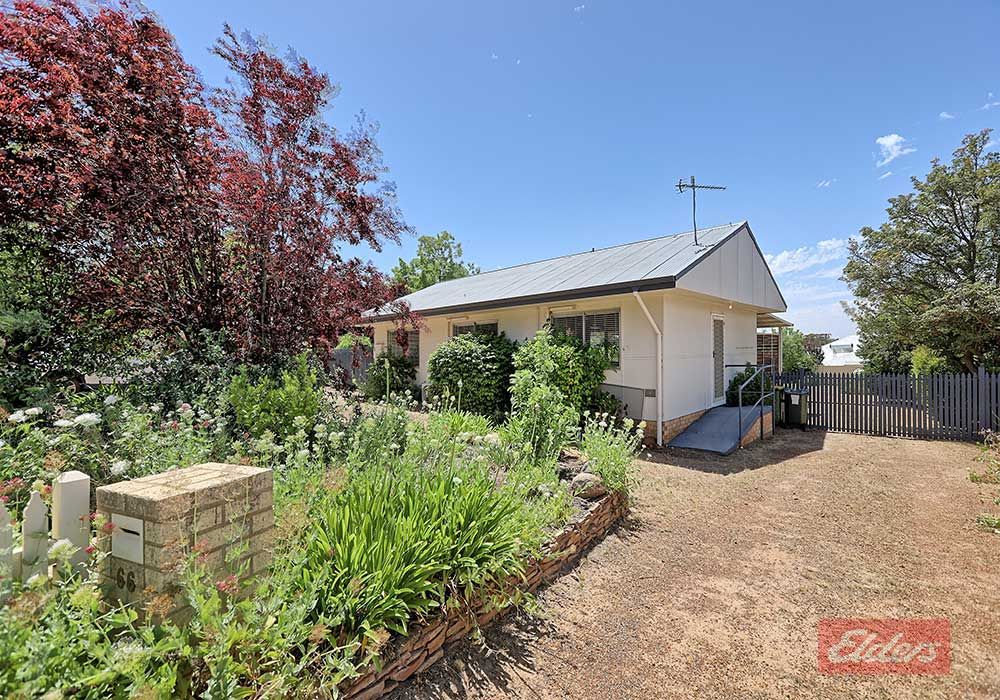 66 Williams Road, Narrogin WA 6312 Domain