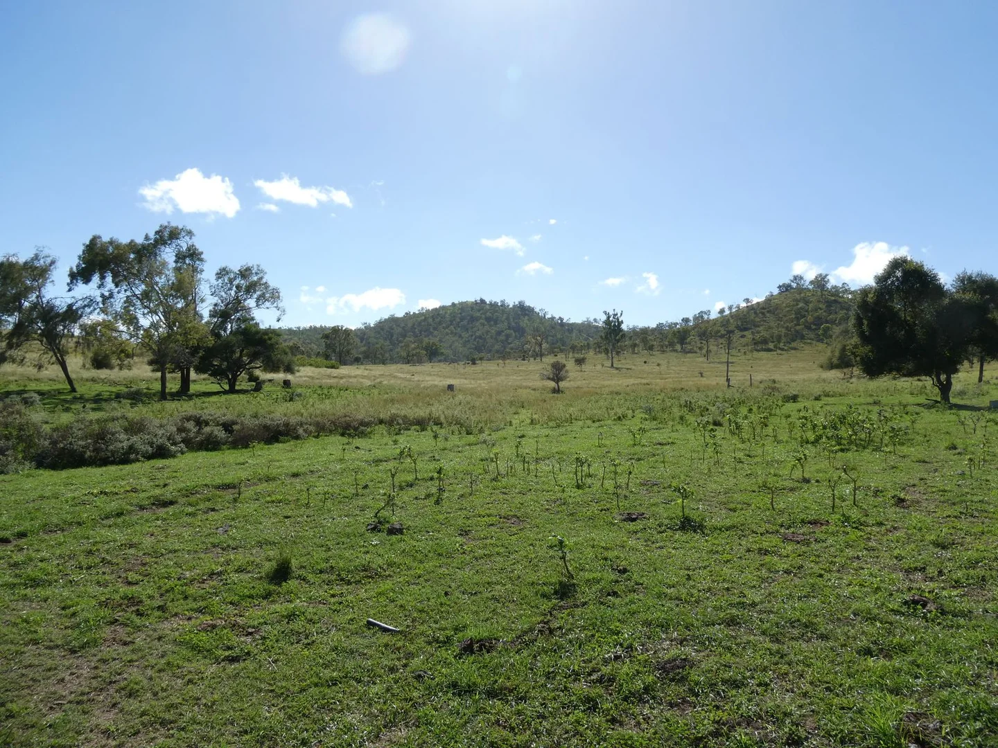 Additional image 22 of L63 & L99 Summers Road, Ginoondan QLD 4625