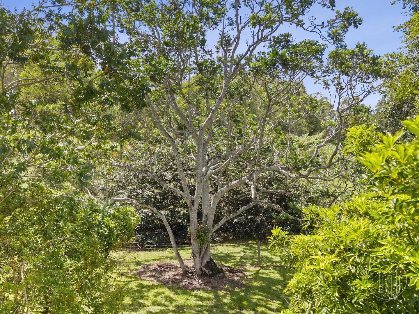 Additional image 25 of 62 Greenoak Road, Kandanga QLD 4570