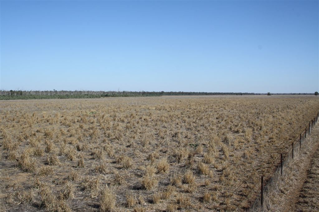 'Yarran' Pilliga Road, Coonamble NSW 2829, Image 1