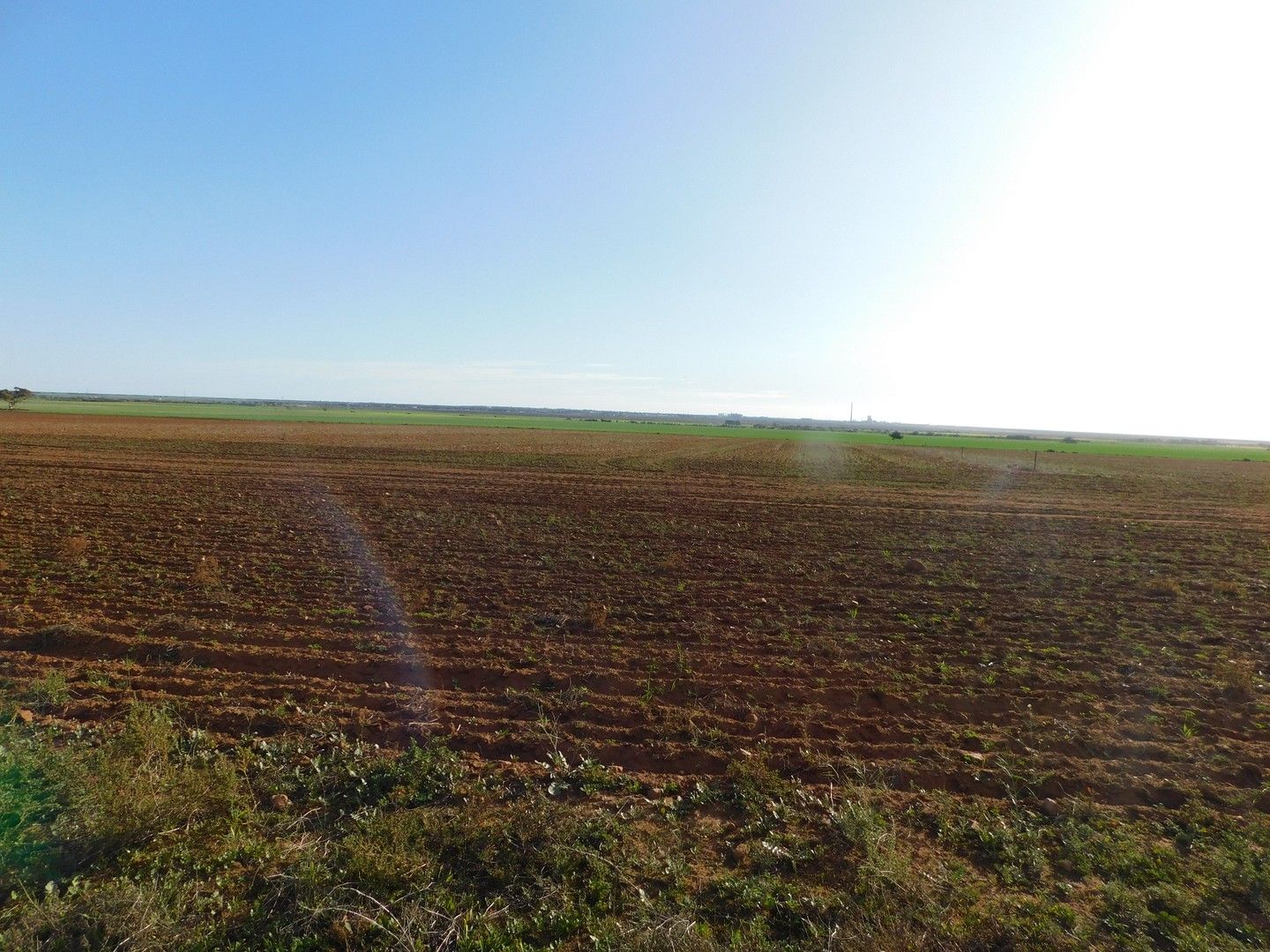 Allotment 107 Jericho Road, Napperby SA 5540, Image 0