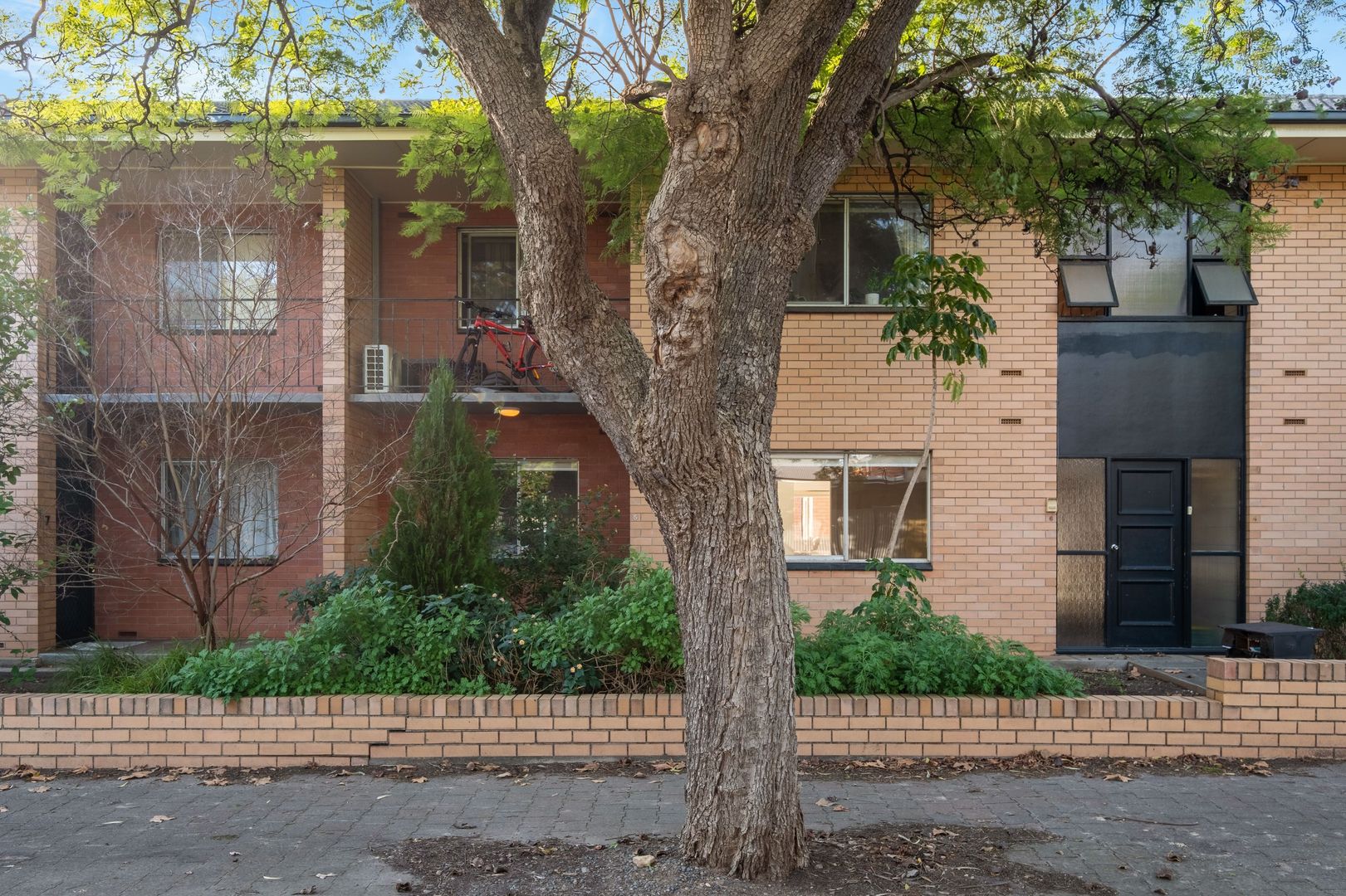 5/294 Goodwood Road, Clarence Park SA 5034 Apartment For Rent Domain