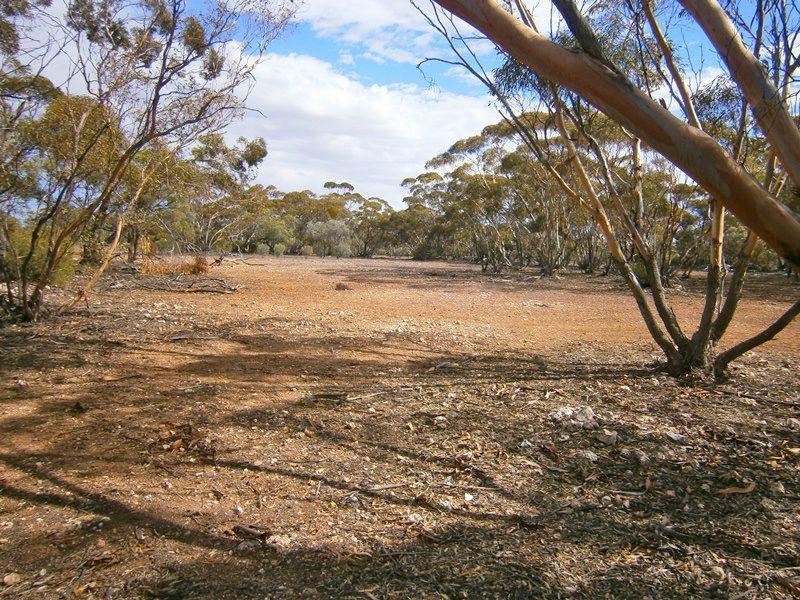 Lot 132 Old Coach Road, Blanchetown SA 5357, Image 0