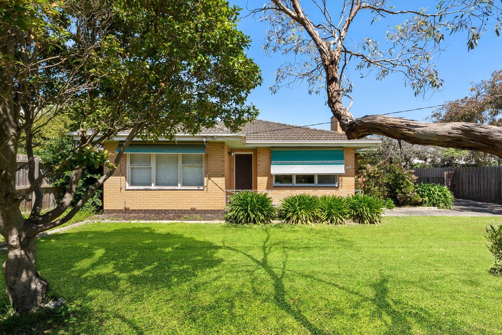 154 The Avenue, Ocean Grove VIC 3226 House For Rent Domain