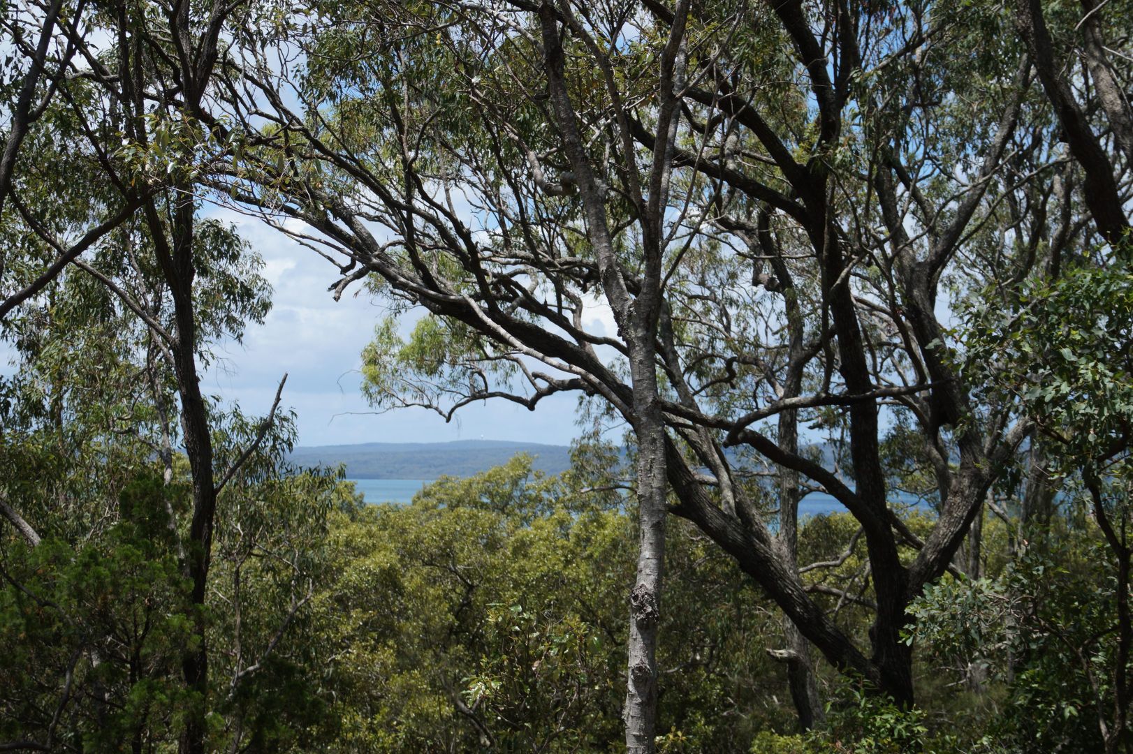 11 Beelong Street, Macleay Island QLD 4184