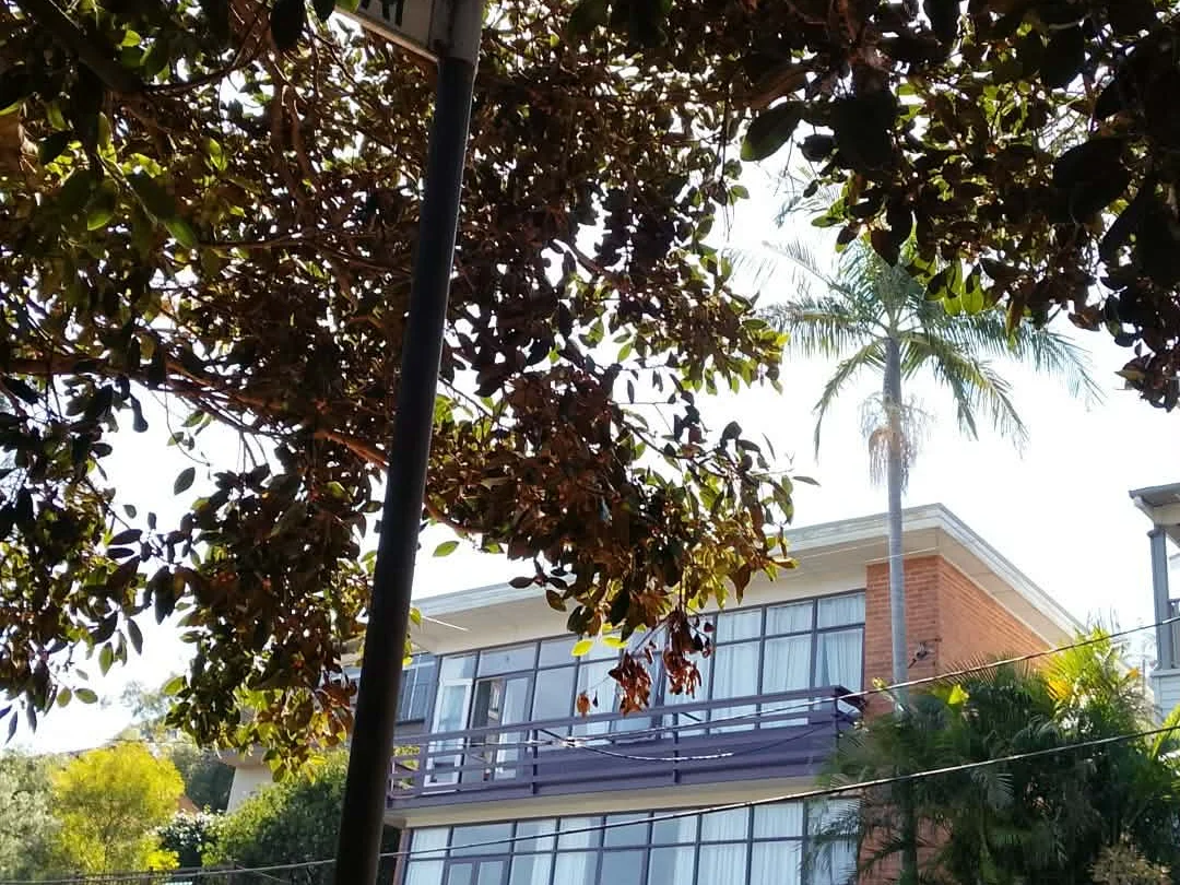 Additional image 33 of Queenscliff NSW 2096