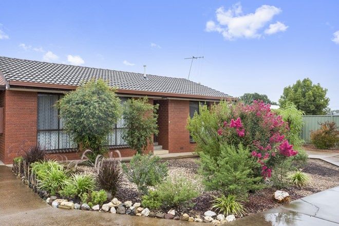 Picture of 3/115 Bobs Street, WHITE HILLS VIC 3550