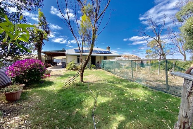 Picture of 12444 Flinders Highway, SHERINGA SA 5607