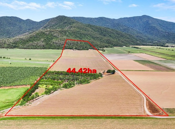 Lot 1 Morgan Road, Gordonvale QLD 4865