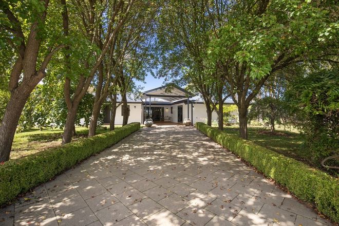 Picture of 443 Toms Gully Road, BLACK MOUNTAIN NSW 2365