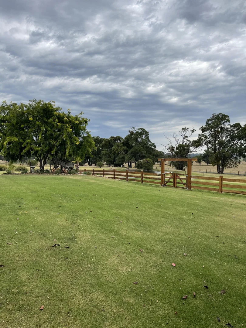 Image 29