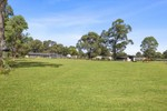 Image 18