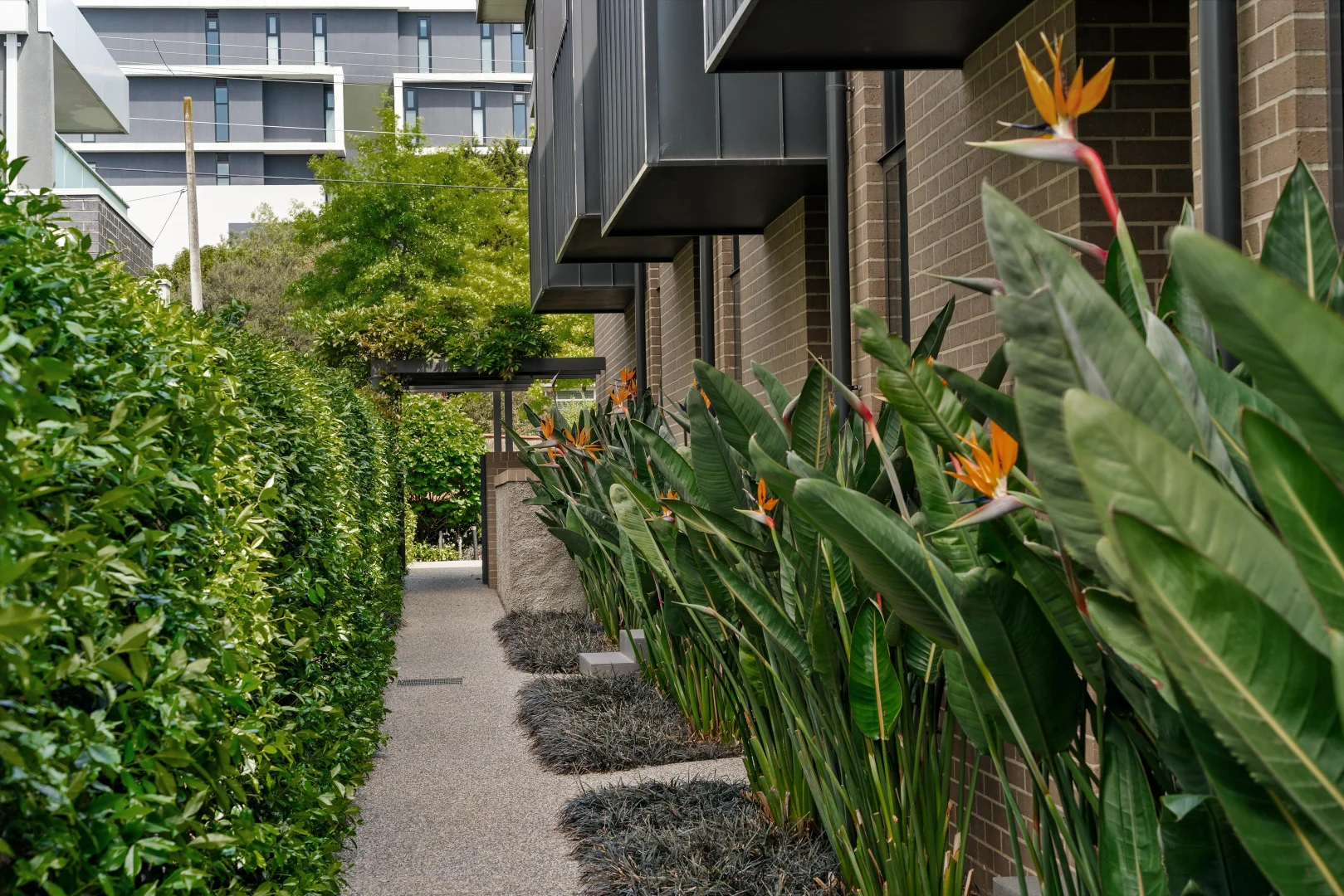 Additional image 13 of 6/146 Thames Street, Box Hill North VIC 3129