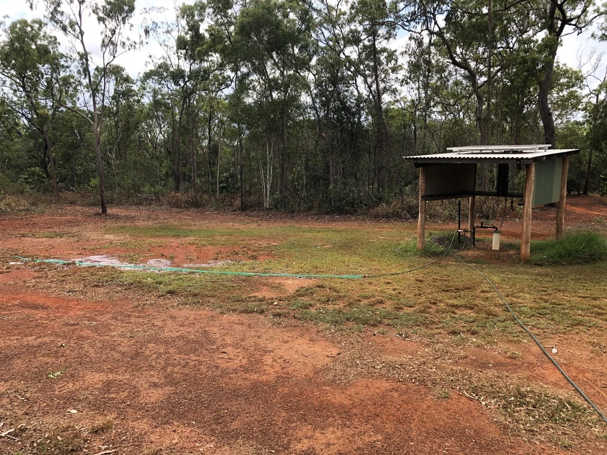 Image 11