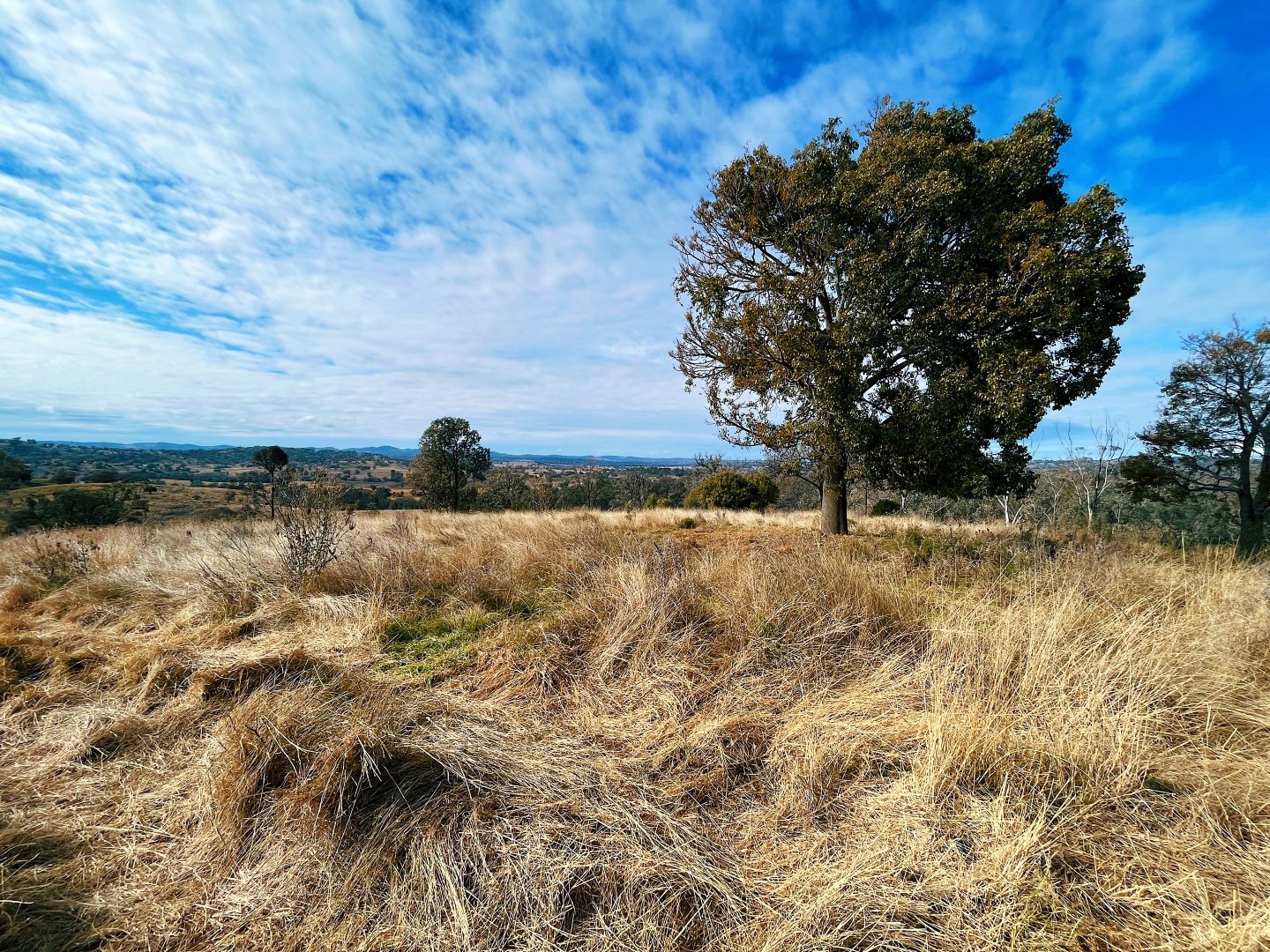 1 Horton Road, Upper Horton NSW 2347, Image 2