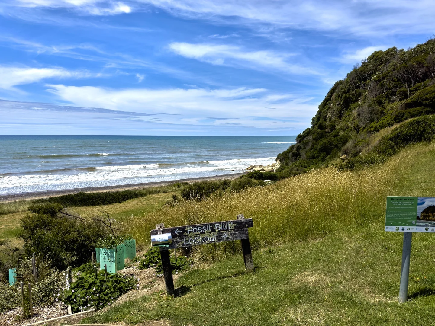 Image 15