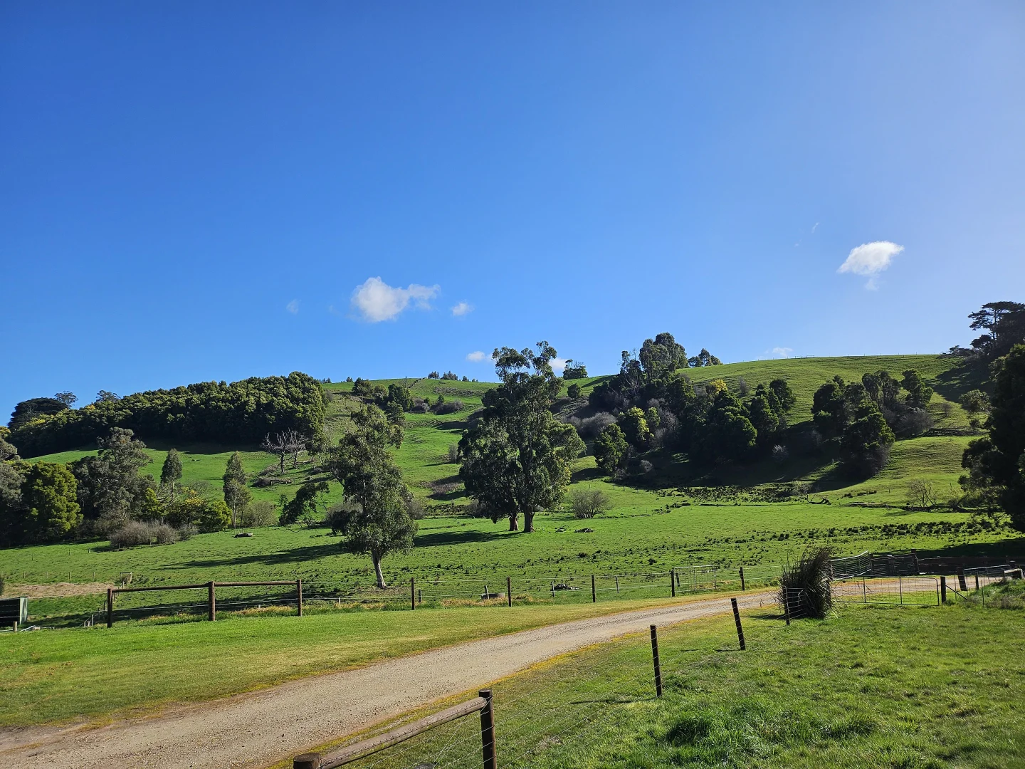 Additional image 11 of 2 Fowlers Road, Ellinbank VIC 3821