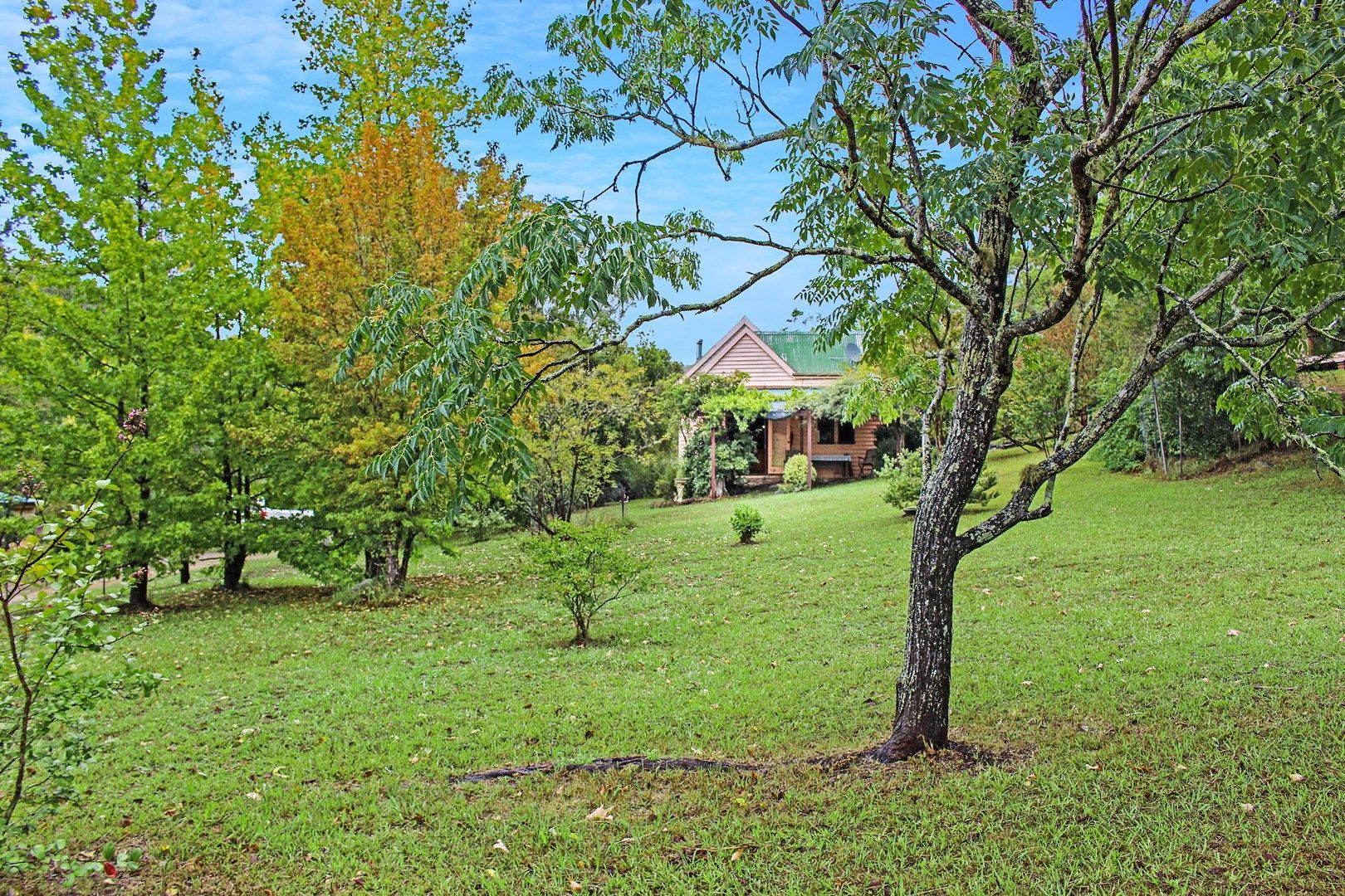 1725E Wollombi Rd, Paynes Crossing NSW 2325, Image 0