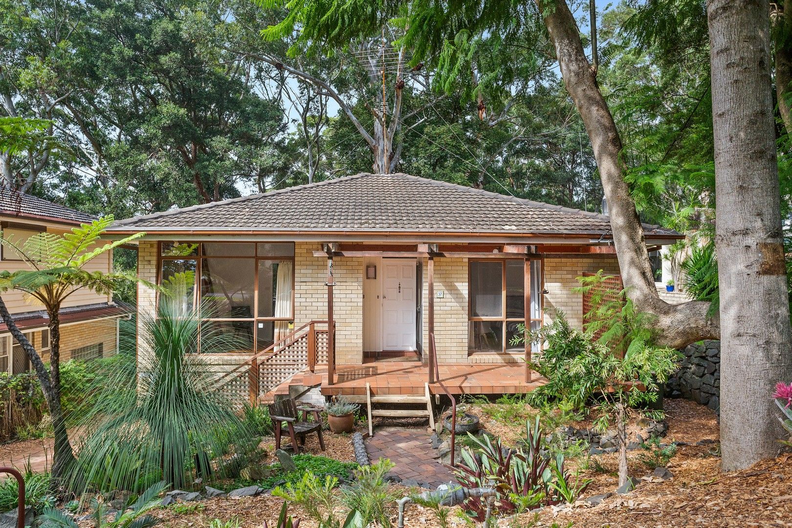 37 Greenslopes Avenue, Mount Pleasant NSW 2519, Image 1