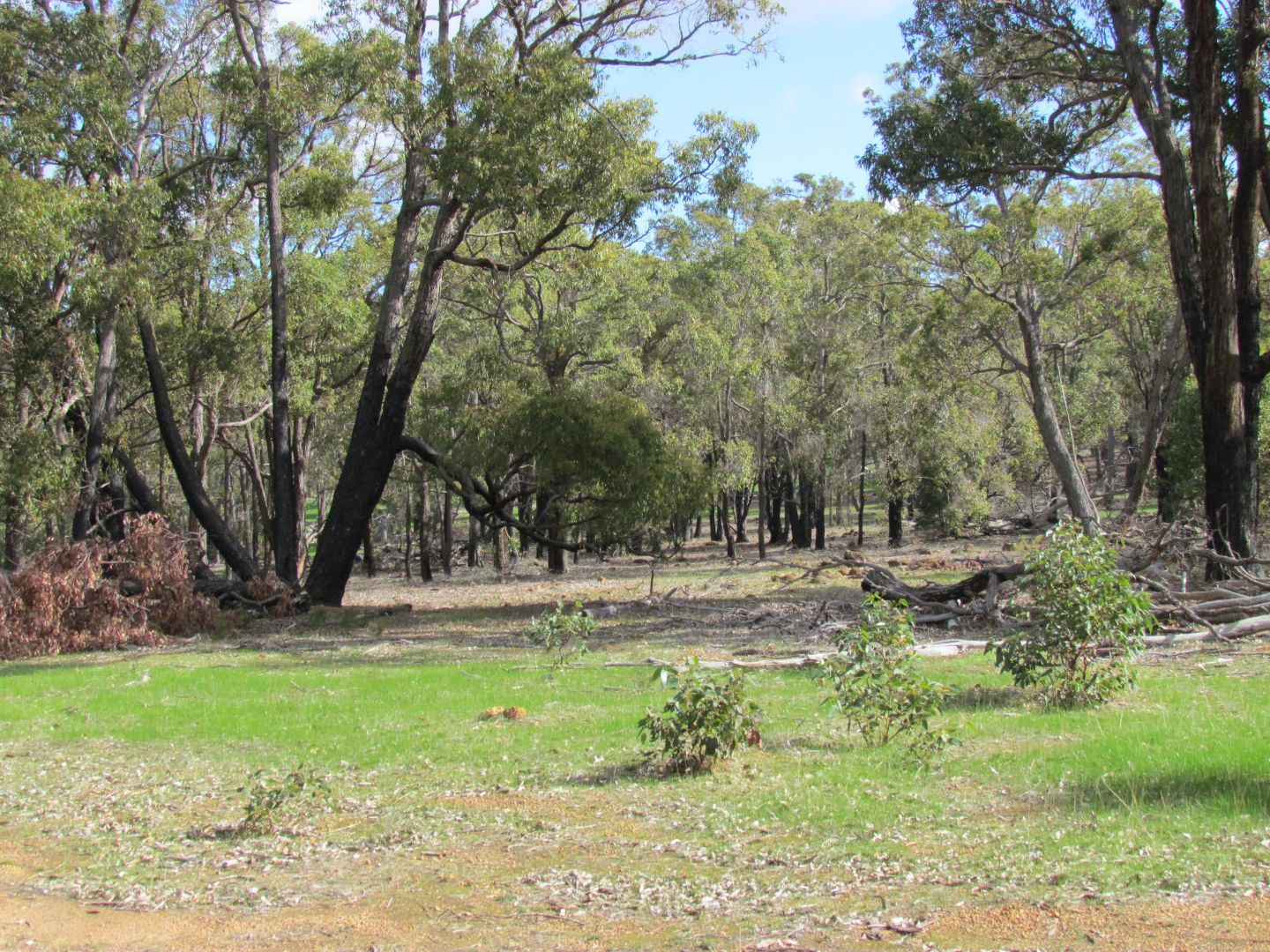 Lot 50 Gibbs Road, Trigwell WA 6244, Image 2