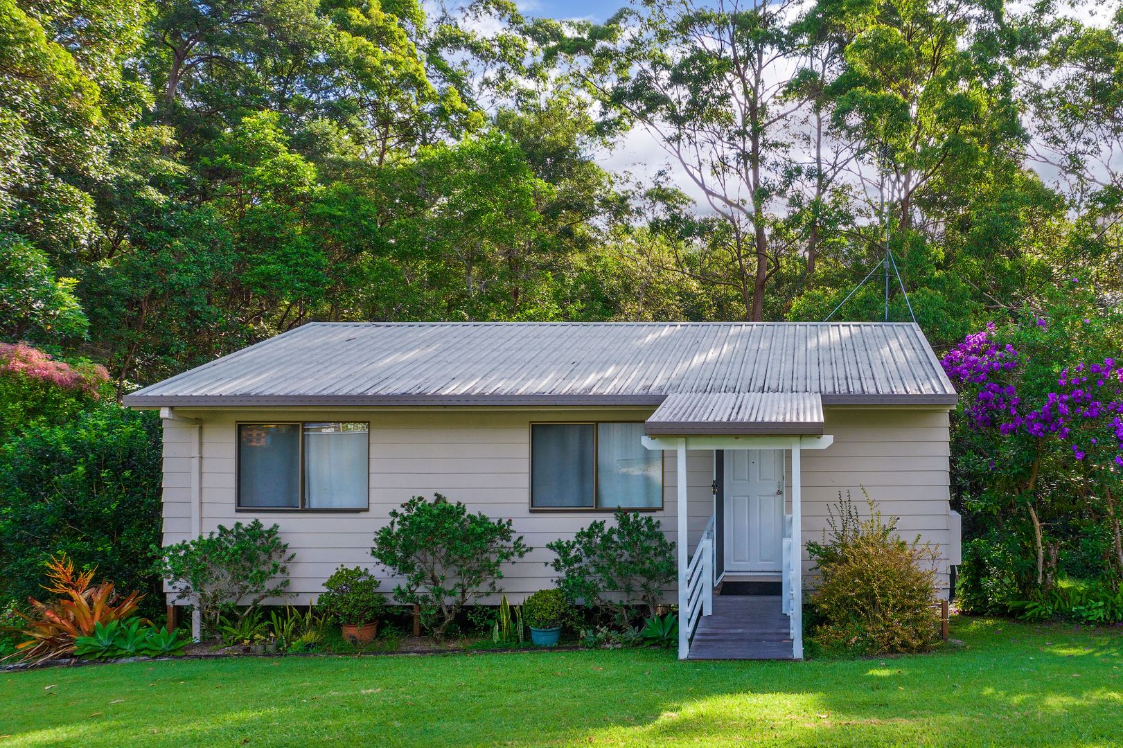 31 Pine Street, Pomona QLD 4568 House for Sale Domain