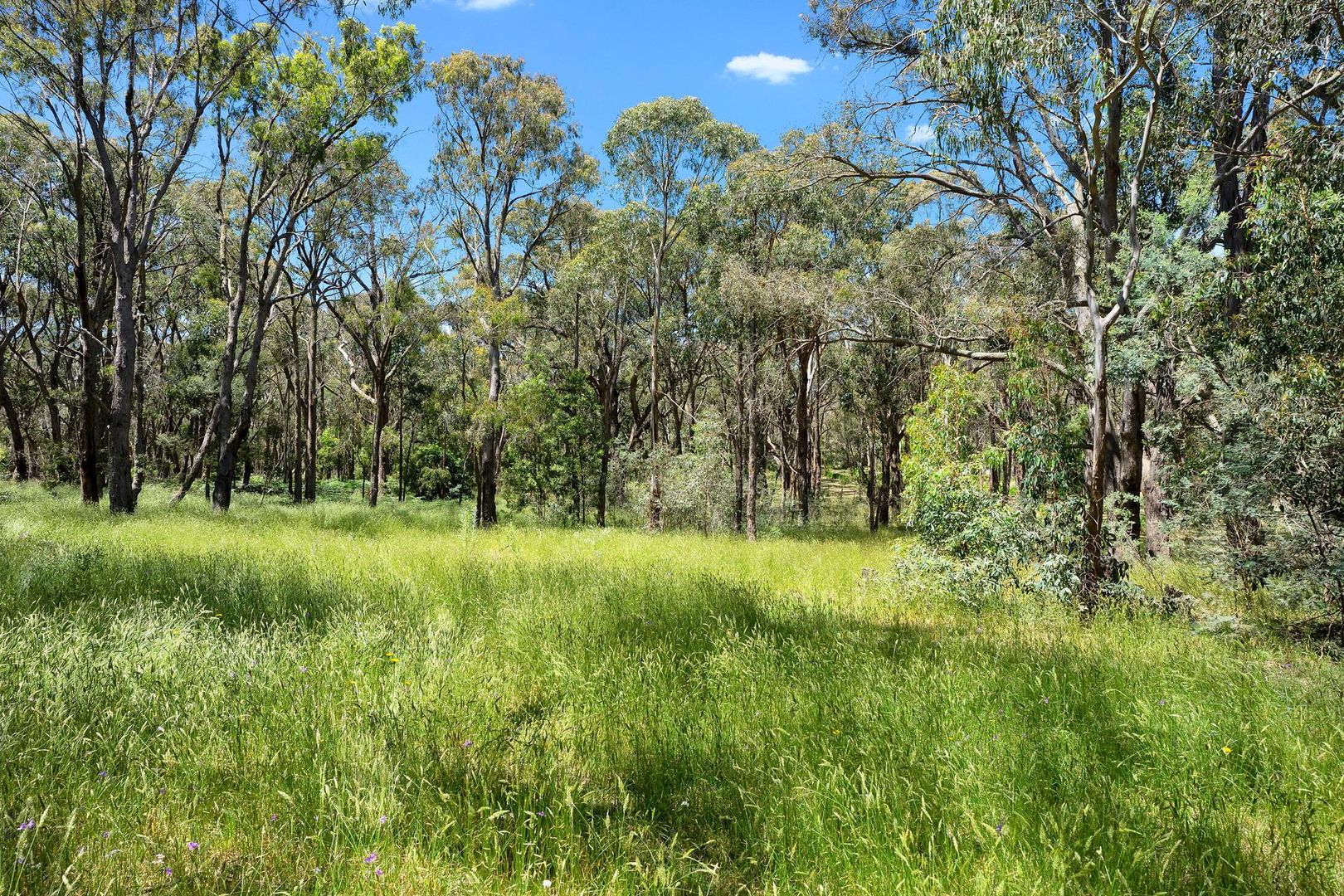 37 La Cote Road, Greendale VIC 3341, Image 2