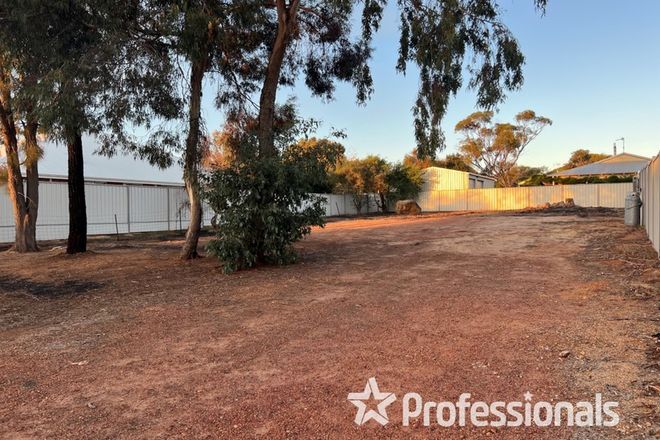 Picture of 51 Argus Street, NARROGIN WA 6312