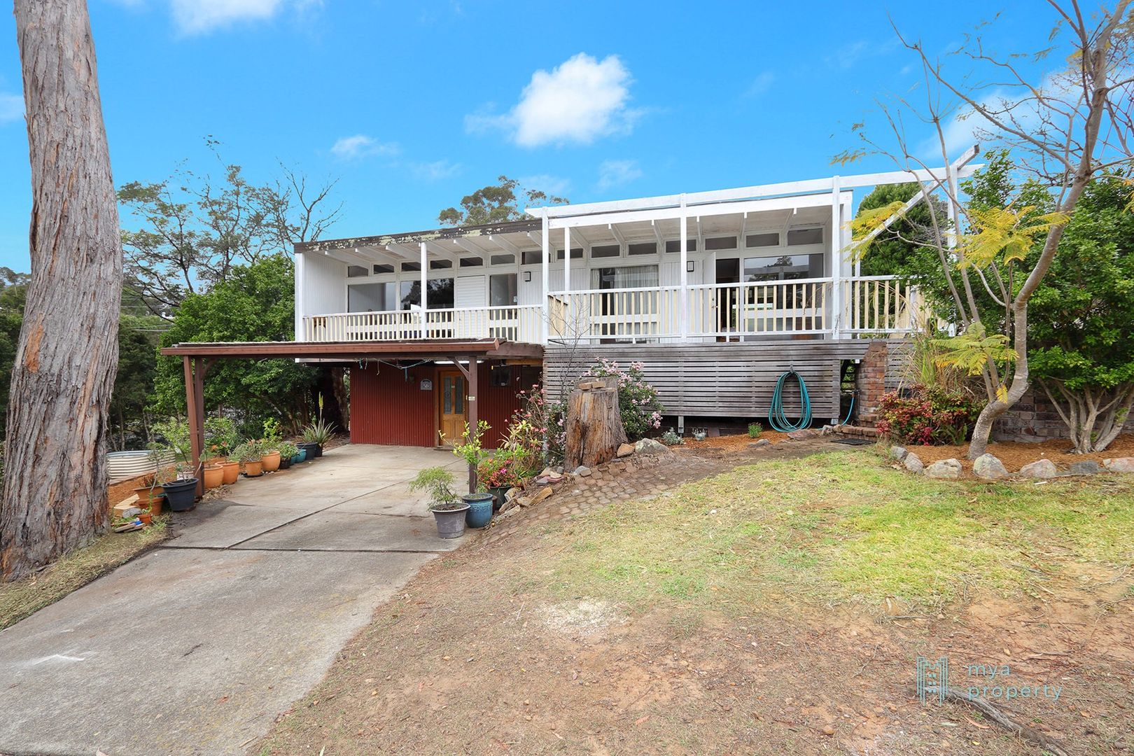 23 Edinburgh Ave, Carlingford NSW 2118, Image 2