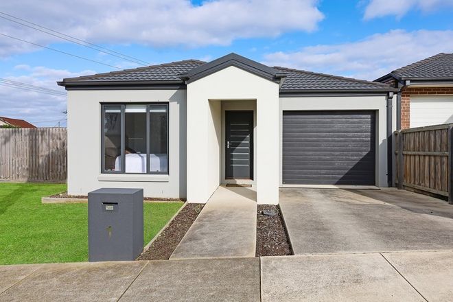 Picture of 1 Eddington Street, WARRNAMBOOL VIC 3280