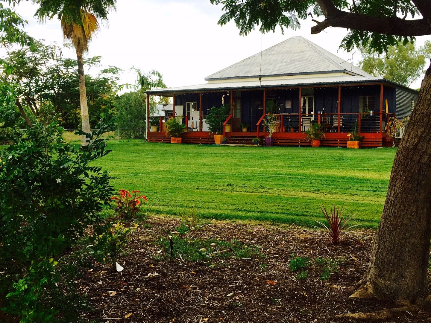 65 Yew Street, Barcaldine QLD 4725 Domain