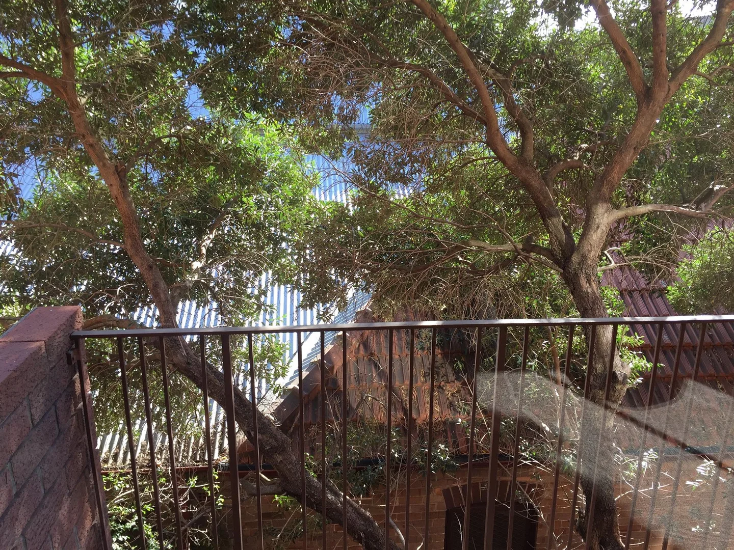 Additional image 10 of 4/10 Addison Street, Kensington NSW 2033