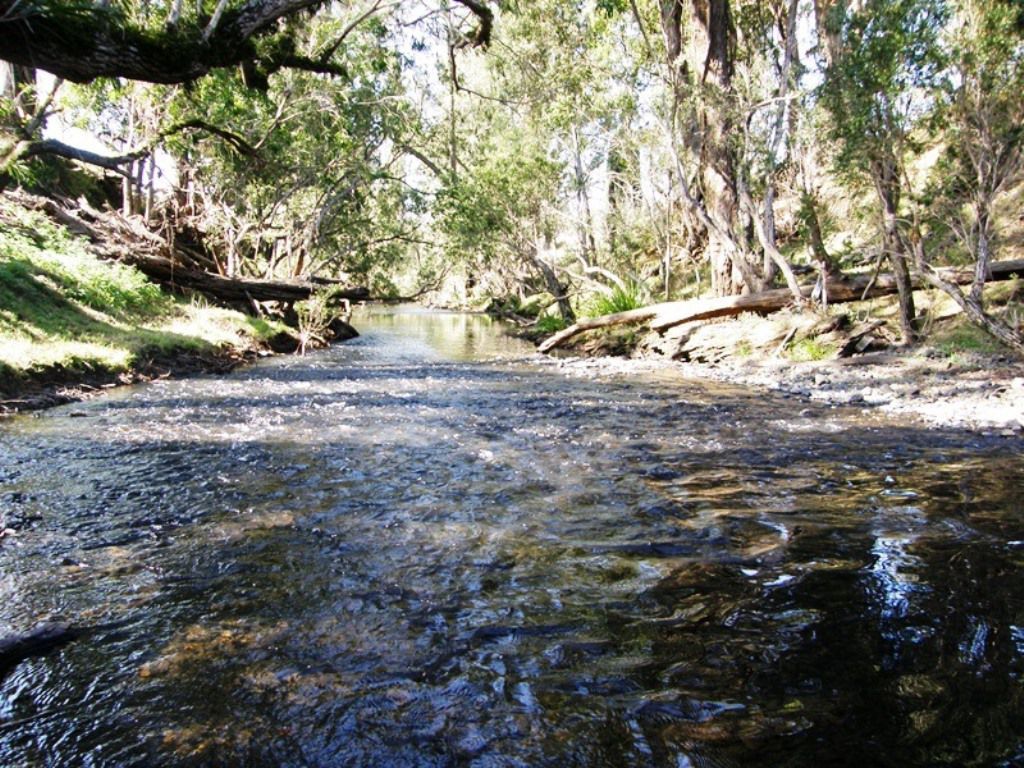 306 Eden Creek Road, Kyogle NSW 2474, Image 1