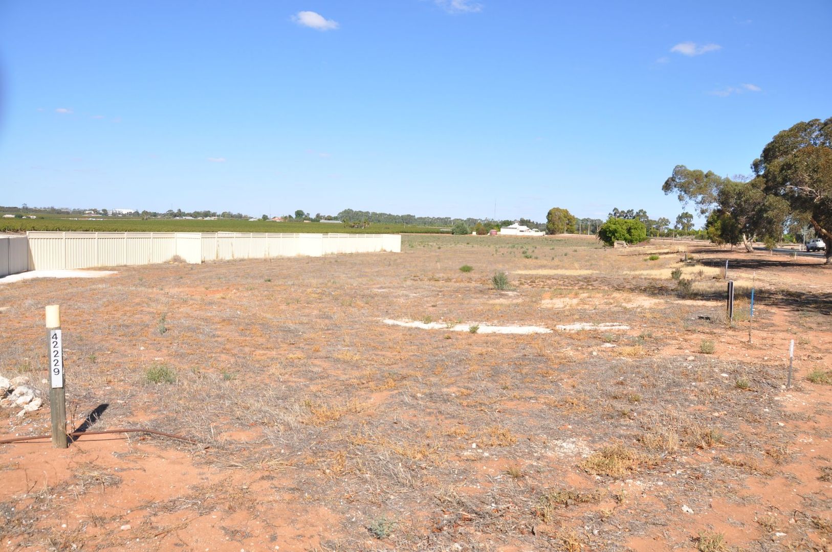 Lot 200 De Vito Drive, Waikerie SA 5330, Image 1