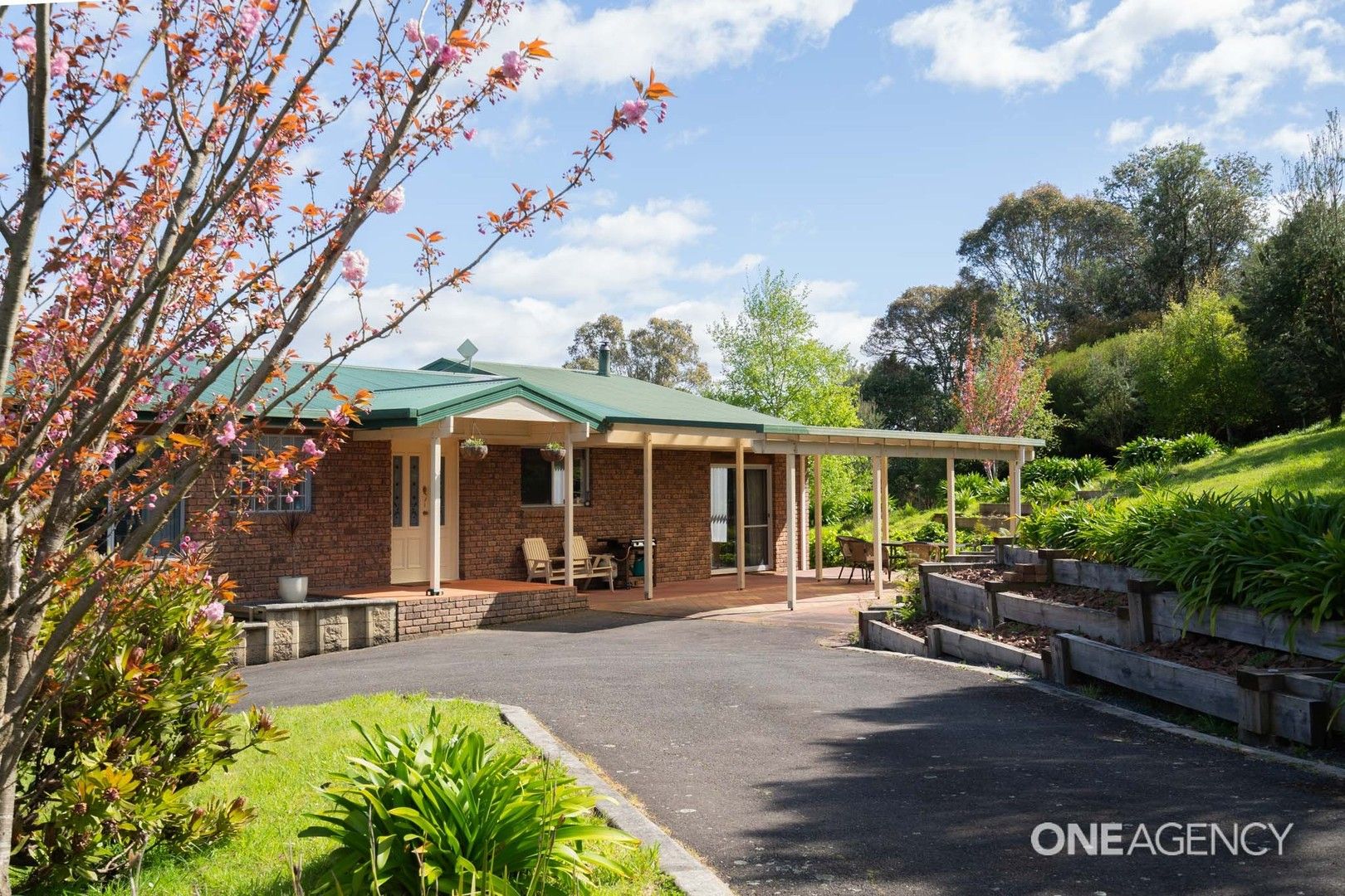 17 Dallas Road, Somerset TAS 7322, Image 0