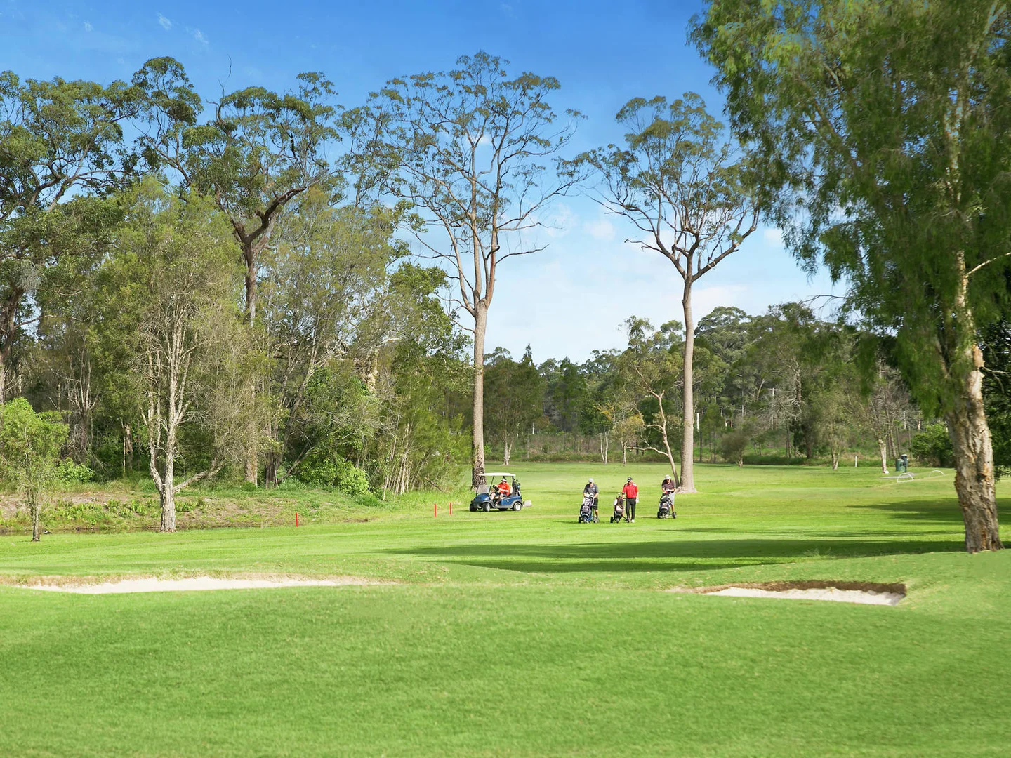 Additional image 21 of 16 Pine Camp Road, Beerwah QLD 4519