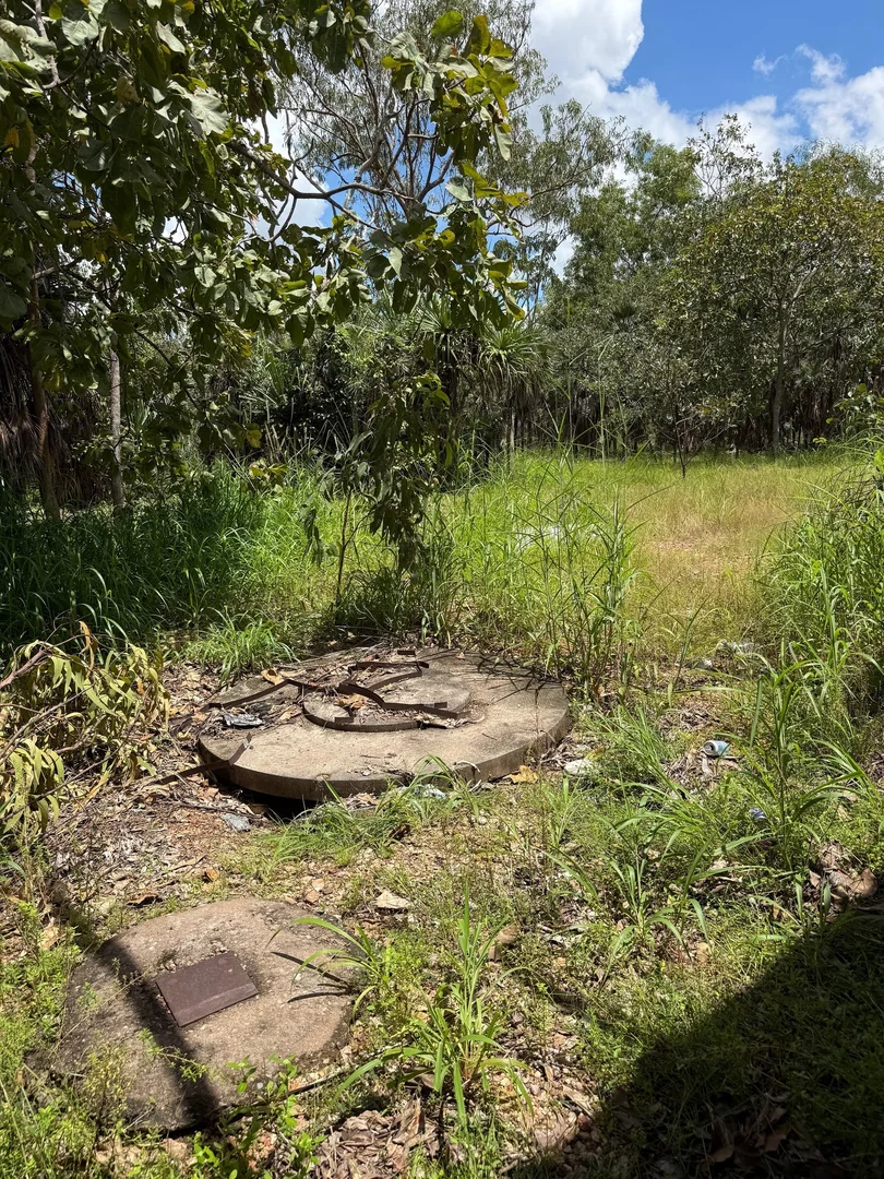Image 9