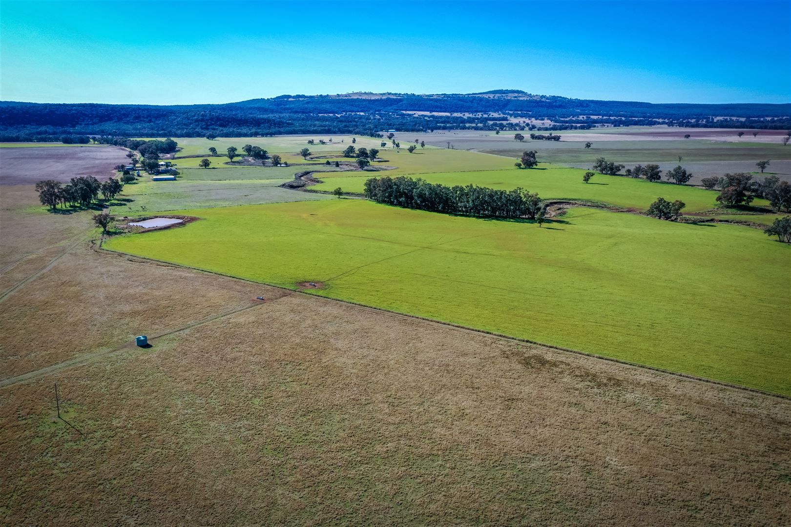 Sold 'Doona' 2989 Neilrex Rd, Coolah NSW 2843 on 19 Jul 2022