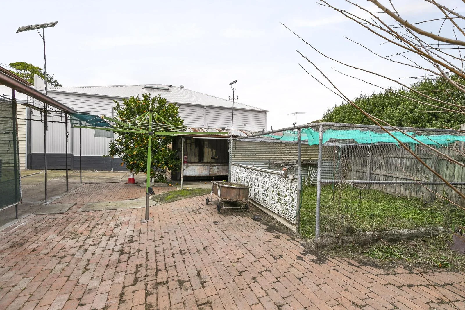 Image 6