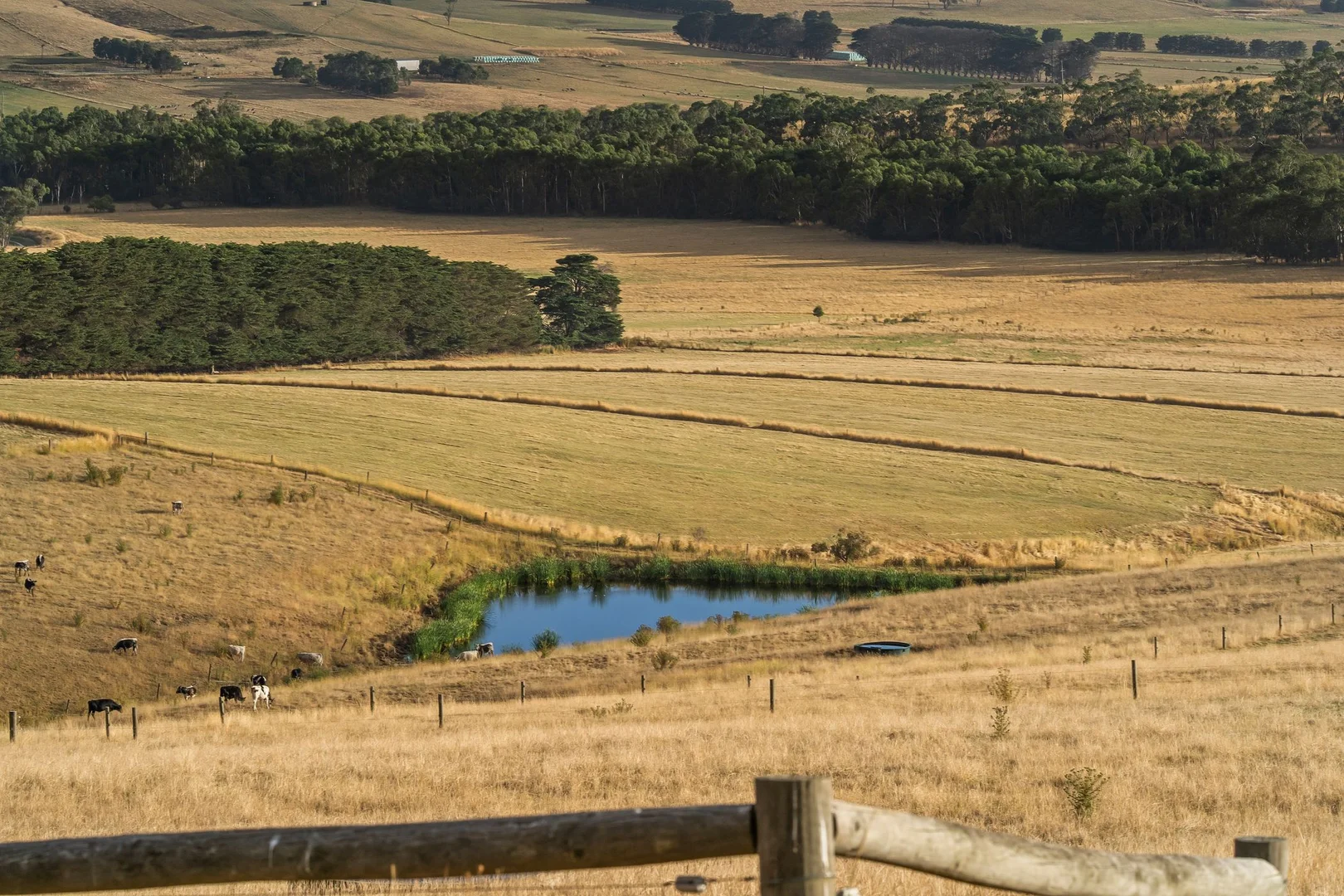 Additional image 22 of 100 Sunday Ridge Road, Simpson VIC 3266