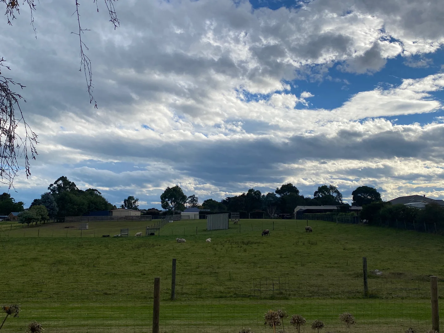 Image 6