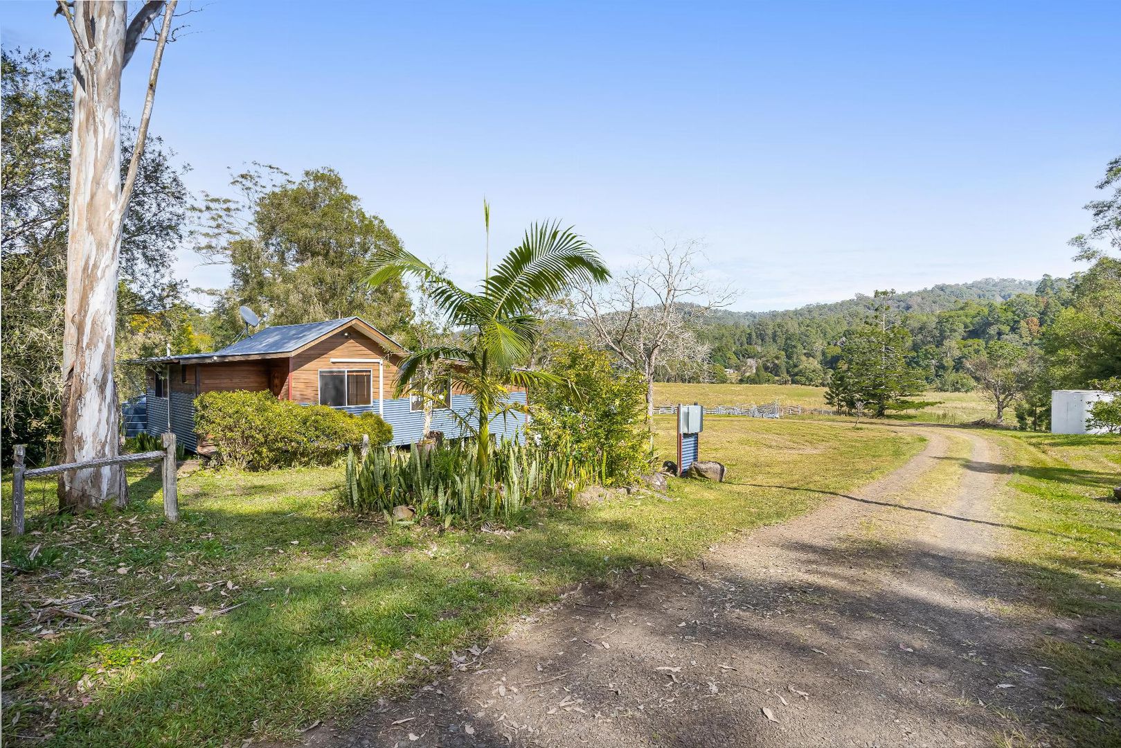 1855 Nimbin Road, Coffee Camp NSW 2480 House for Sale Domain